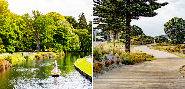 Tauranga and Christchurch lead as select NZ property markets enjoy June growth