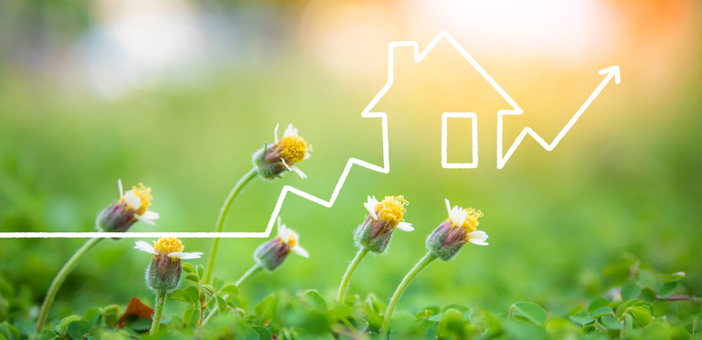 Start early to beat the springtime sales rush