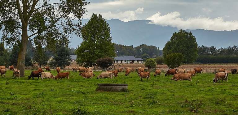 The stunning rise in value of Kiwi lifestyle locations